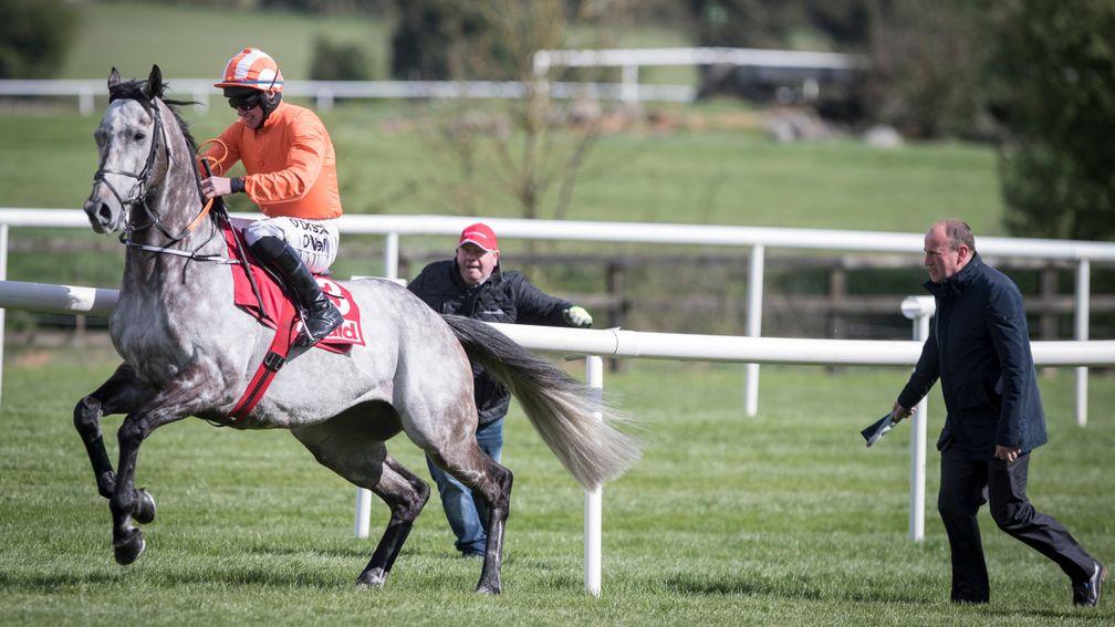 Labaik plants himself and Jack Kennedy at the start at Punchestown on Tuesday