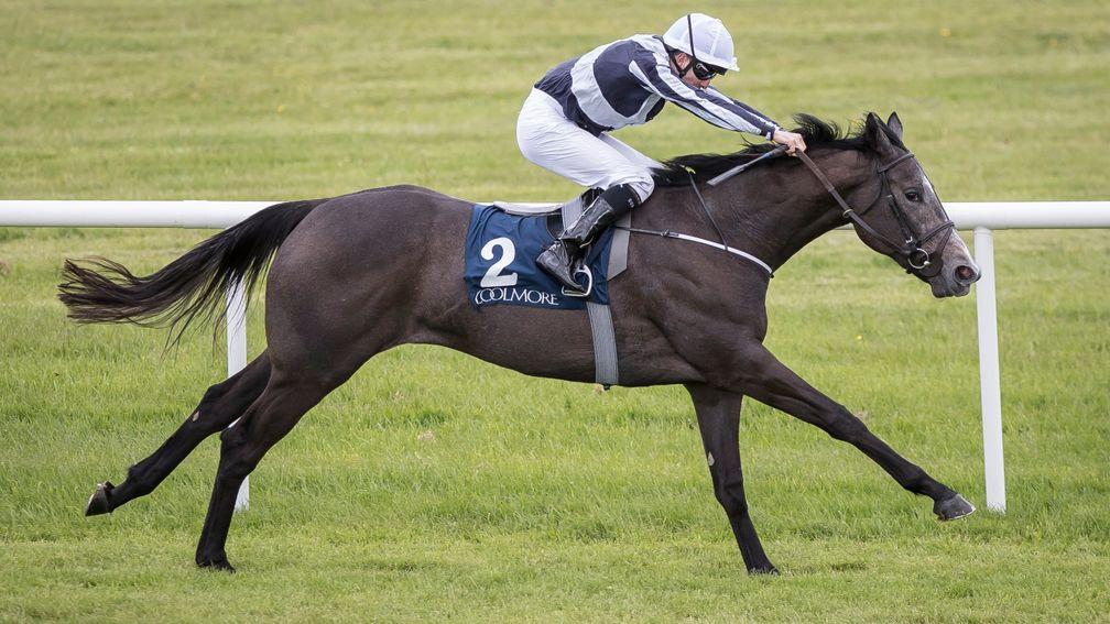 Alpha Centauri and Colm O'Donoghue en route to winning at Naas