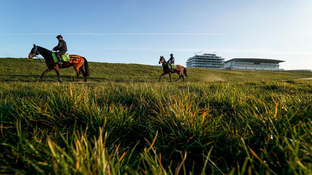 EPSOM, ENGLAND - APRIL 07: A general view as racehorses make their way to the training grounds at Epsom Racecourse on April 07, 2020 in Epsom, England. (Photo by Alan Crowhurst/Getty Images)