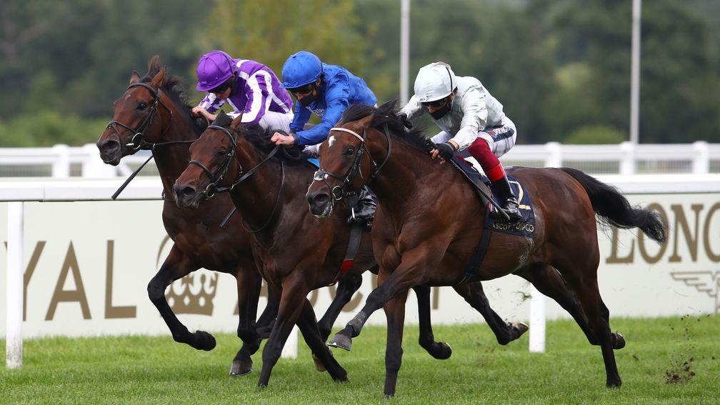 Pinatubo (centre) fails to master Palace Pier in the St James's Palace Stakes