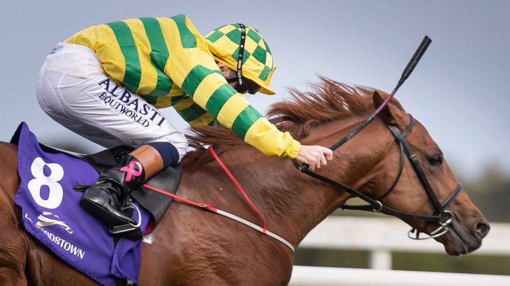 Australia colt Mohican Heights was the winner of a competitive Leopardstown maiden in May