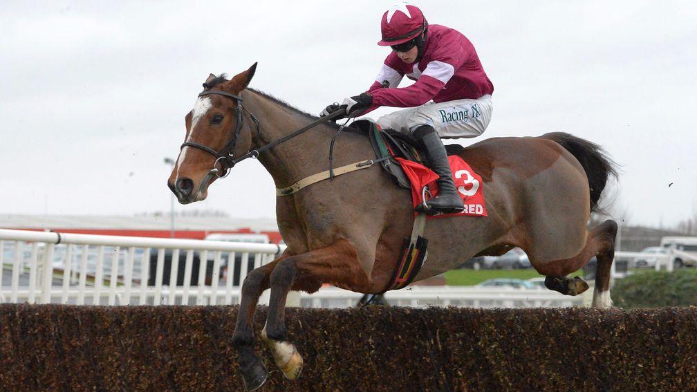Don Poli: won three Grade 1s and at two Cheltenham Festivals in the colours of Gigginstown House Stud