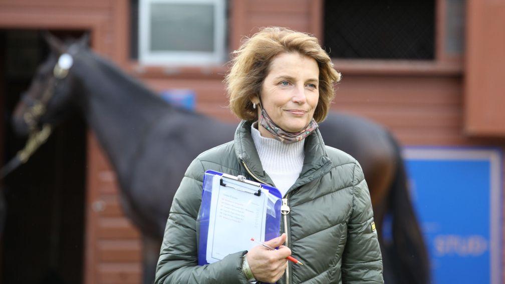 Lady Carolyn Warren: 'This colt looks like he's got a bit of magic about him'