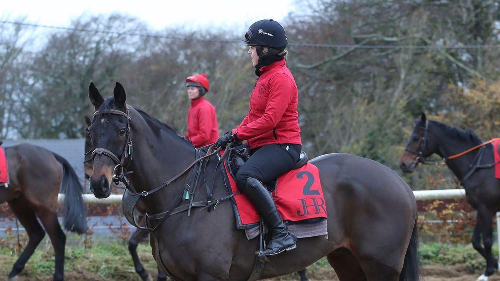 Sizing John, ridden by Kate Harrington in preparation for the Betfair Chase that he will not now contest