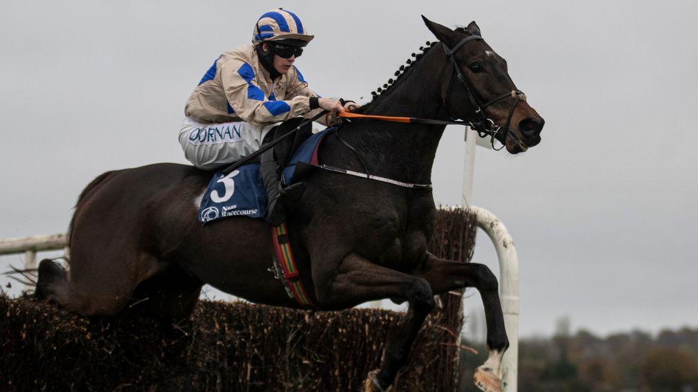 Captain Guinness: stepping up in trip at Aintree