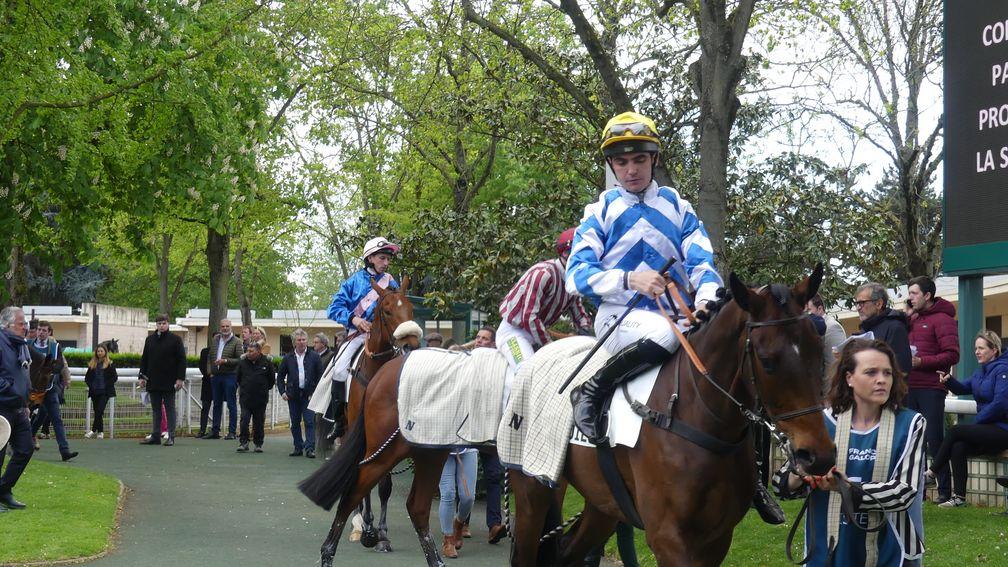 The runners before the Prix Wild Monarch (Poulains), which has thrown up State Man and Sir Gino in recent years