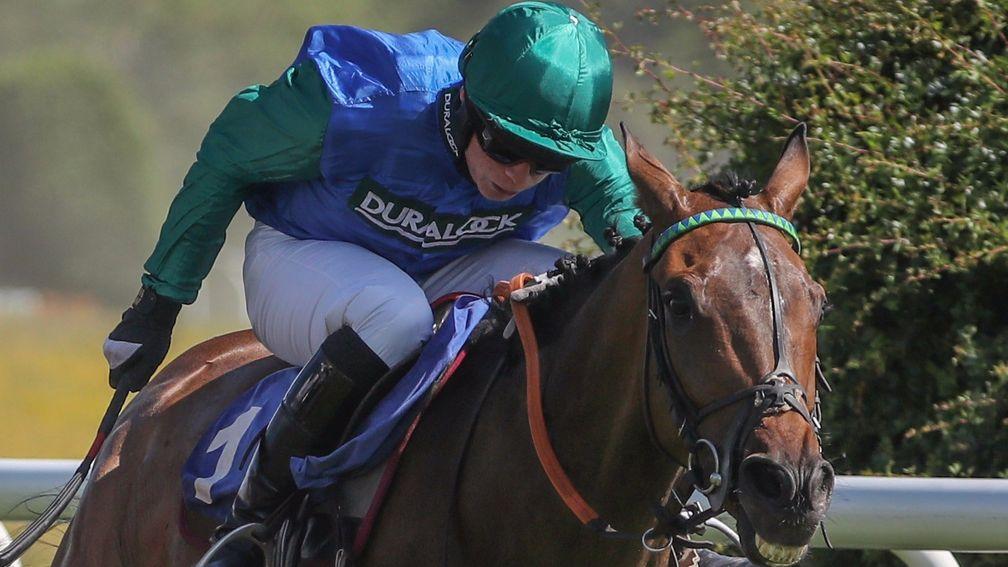 Midnight Shot bids to bounce back to winning form in Uttoxeter's feature chase