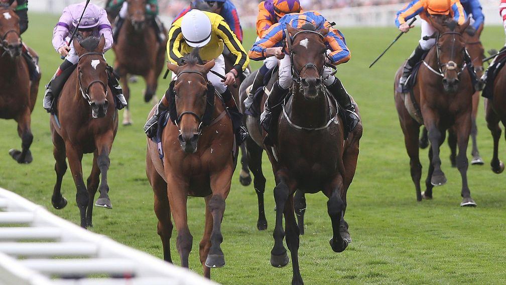 Big Orange (left of front pair) battles Order Of St George to land last year's Gold Cup