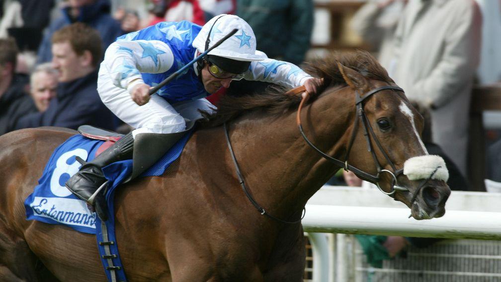 Indian Haven, pictured winning the Irish 2,000 Guineas, has died aged 23