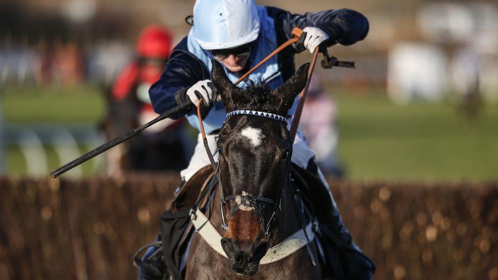 Vinnie Lewis and Harry Bannister on their way to victory in the Sussex National at Plumpton on Sunday