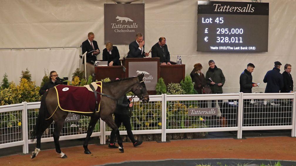 Chantry House in the Cheltenham sales ring before bringing £295,000 from Michael Hyde