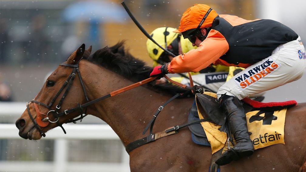 Tobefair: rocketed up the ratings and scored in a valuable handicap hurdle at Ascot