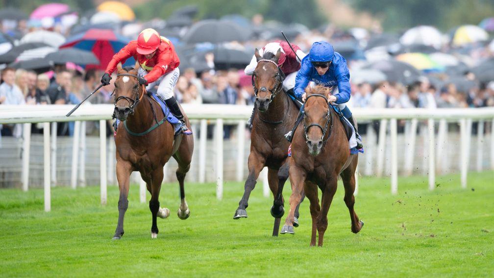 Space Blues (right) gets the better of Highfield Princess (left) and Glorious Journey