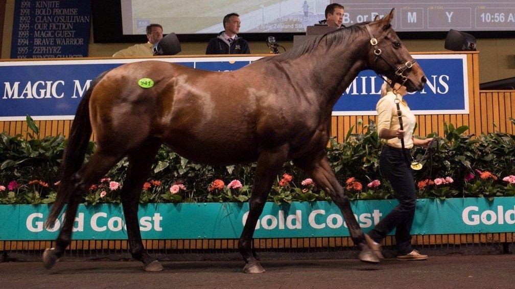 The Party Stand goes under the hammer at Magic Millions