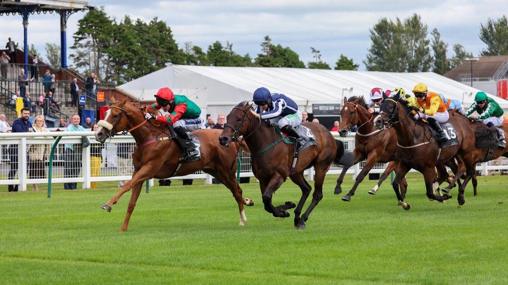 Poet's Magic (blue and white) was pipped by Northern Express at Ayr