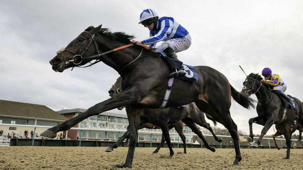 Possible Man: won at Nottingham to provide owners King Power with their 200th winner