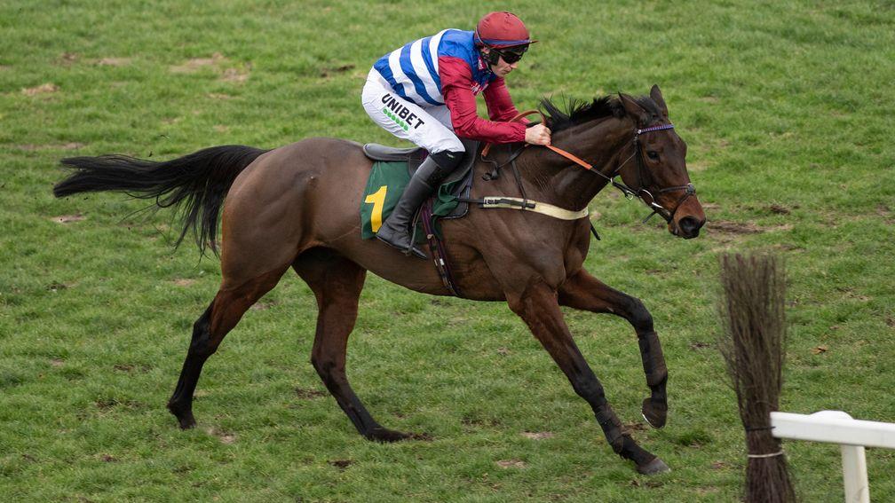 Senior Citizen: caught the eye in the Grand Sefton over the National fences in December