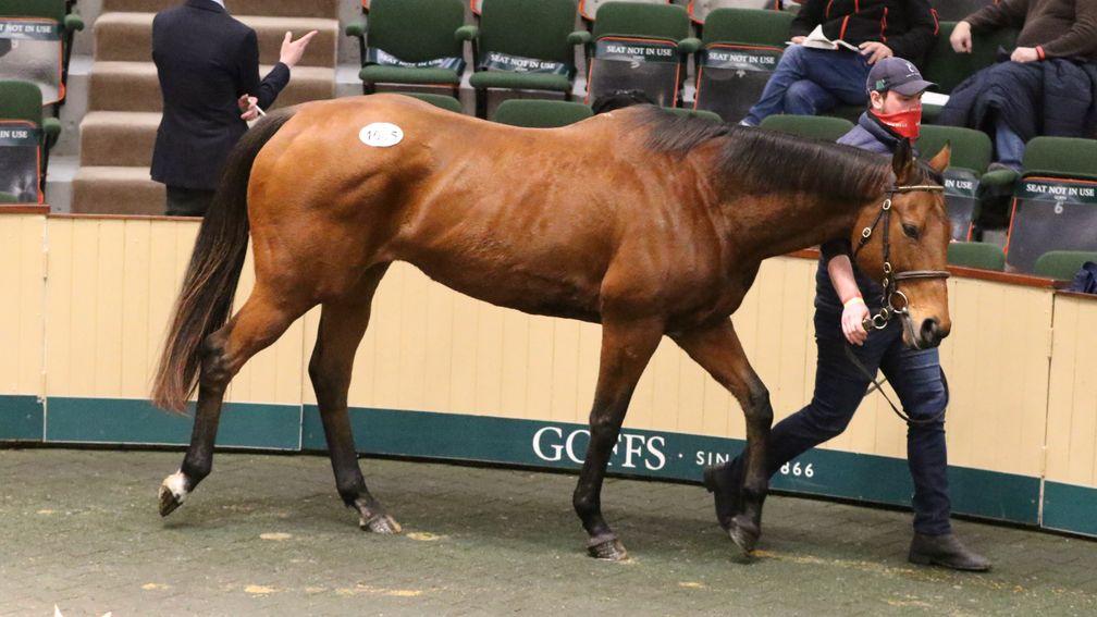Shadwell mare Garmoosha was one who caught Coolmore's eye with a sale to MV Magnier for €430,000