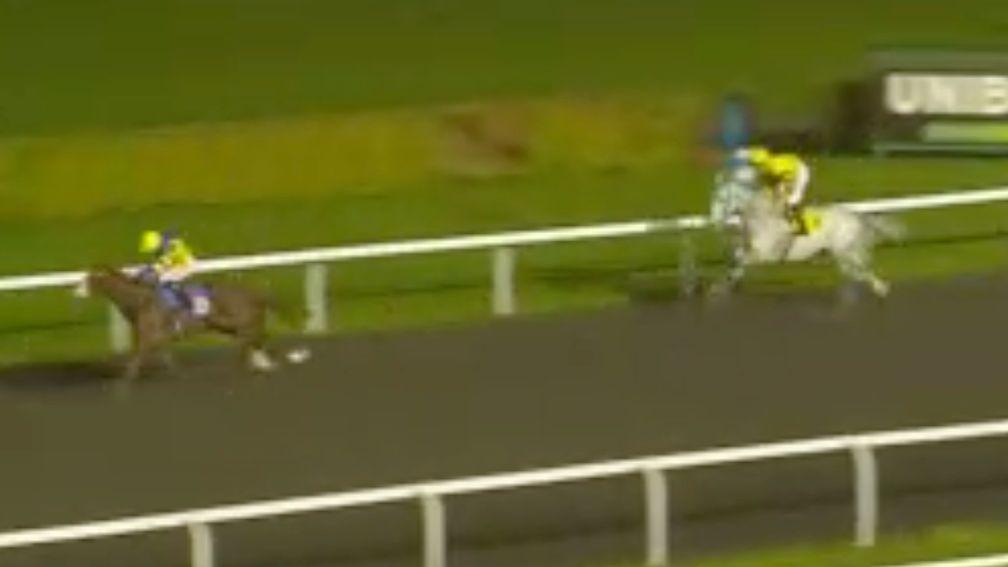 Neil Callan pushes out Ballet Blanc having mistakenly sent his mount for home too early