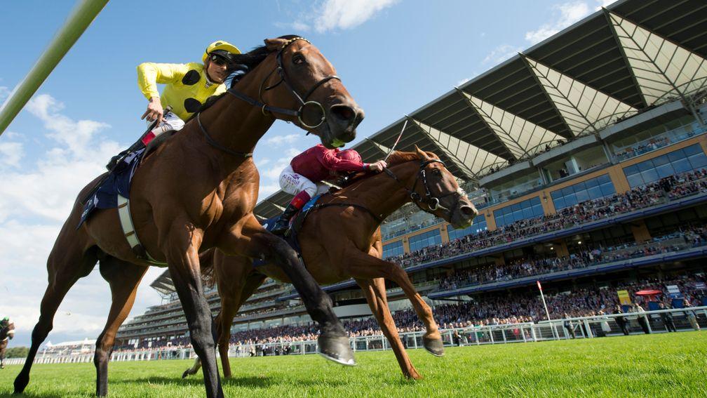 The media deal runs from March 2019 until the end of 2021, and includes all Ascot fixtures except British Champions Day