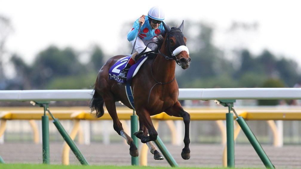 Almond Eye: will head for the Hong Kong Cup next