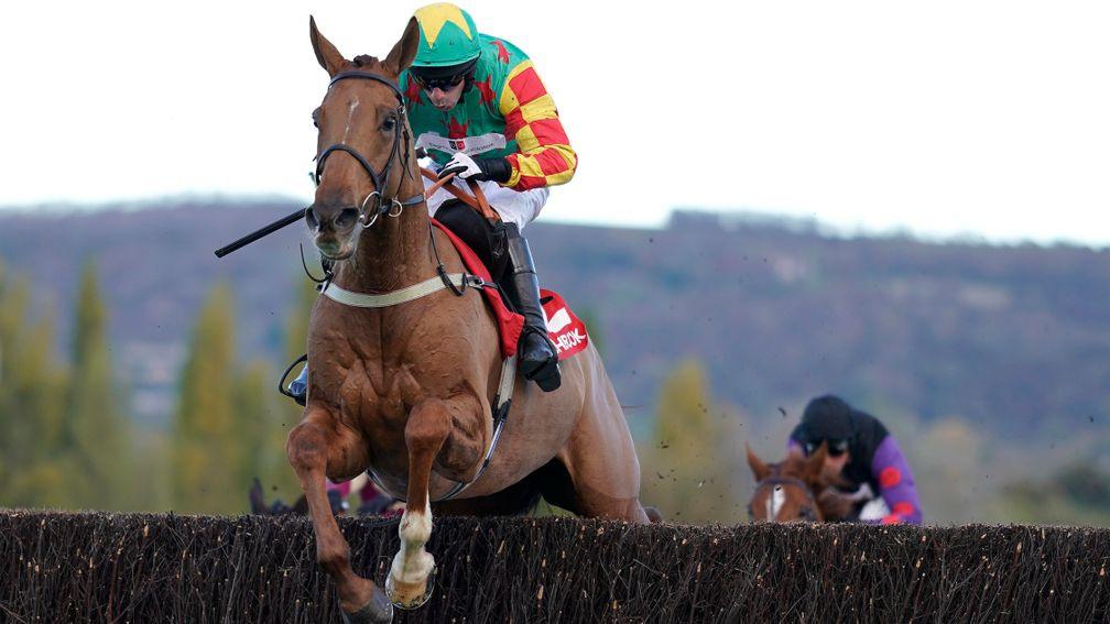 Lil Rockerfeller (Wayne Hutchinson) adds a Cheltenham novices' chase to his multiple wins on the Flat and over hurdles