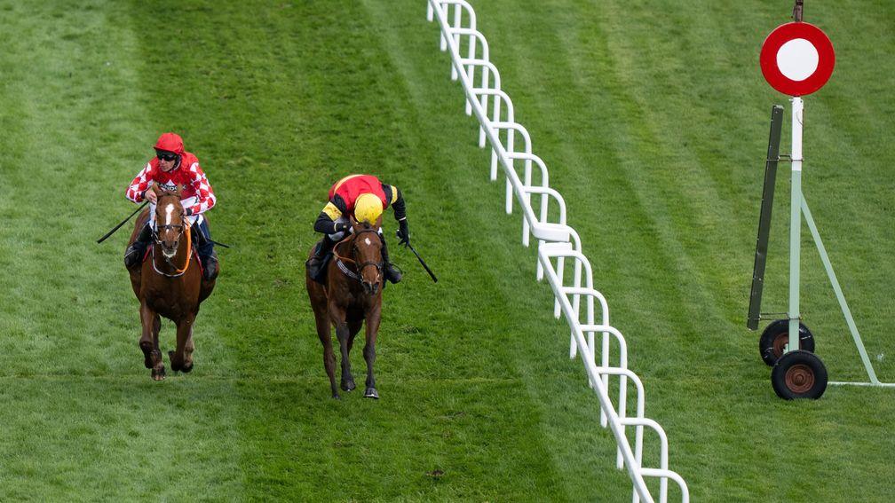 Knight Salute (right) and Pied Piper cross the line together