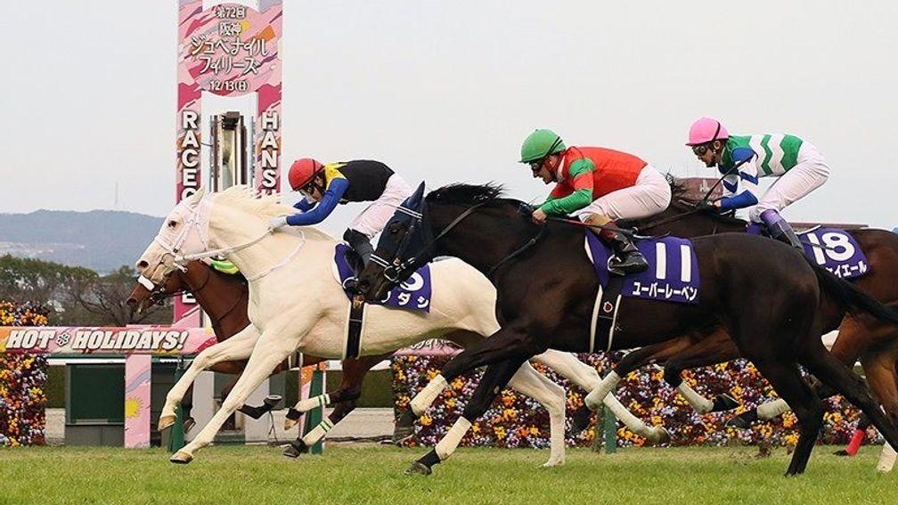 Sodashi: made history when becoming the first white horse to win a Grade 1 in Japan
