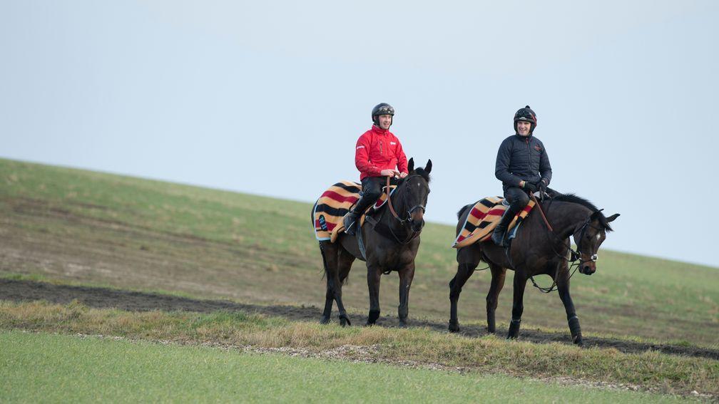 Might Bite and Altior - ridden by assistant trainer Toby Lawes (right) - are well rugged-up on the gallops at Nicky Henderson's Seven Barrows in Lambourn