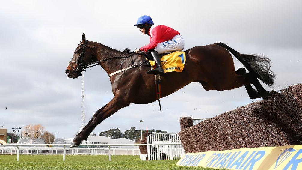 Allaho: will chart a familiar path to Cheltenham in the Thurles feature