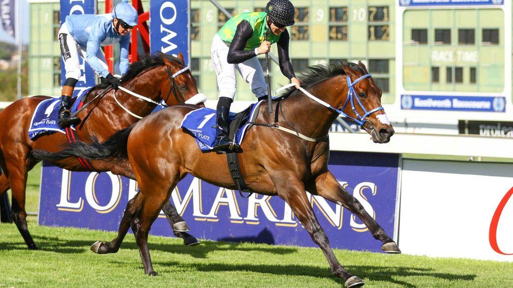 Dual South Africa horse of the year Legal Eagle has been sold by Jooste and is odds-on for the Queen's Plate