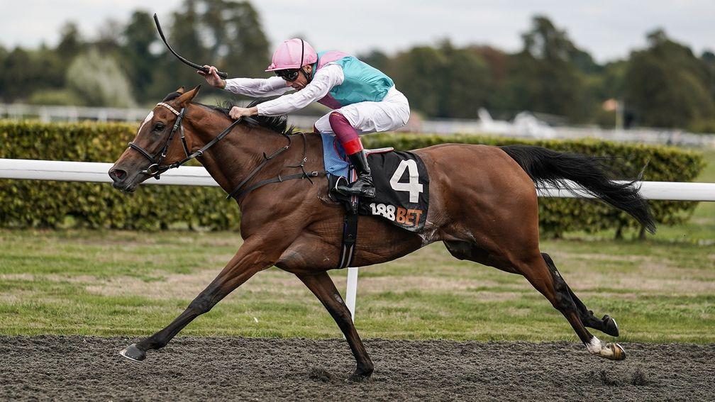 SUNBURY, ENGLAND - SEPTEMBER 08:  Frankie Dettori riding Enable wins The 188Bet September Stakes at Kempton Park Racecourse on September 8, 2018 in Sunbury, United Kingdom. (Photo by Alan Crowhurst/Getty Images)