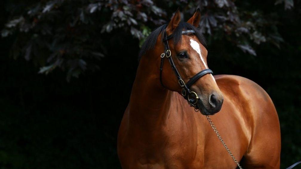 Gleneagles: a nomination to the son of Galileo is being auctioned off in aid of Kevin Babington