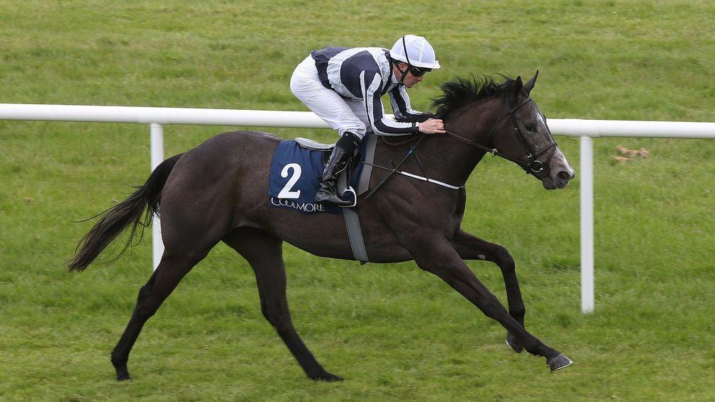 Alpha Centauri: second at Royal Ascot but should come into her own when stepped up in trip