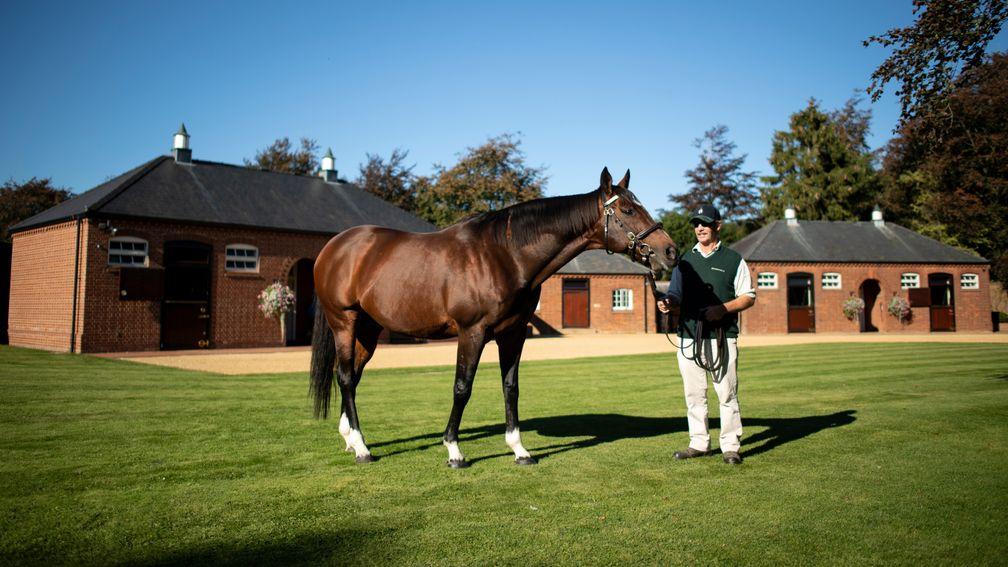 Frankel: “You know, in hindsight, I’d have to say that Frankel is probably grossly underpriced.'
