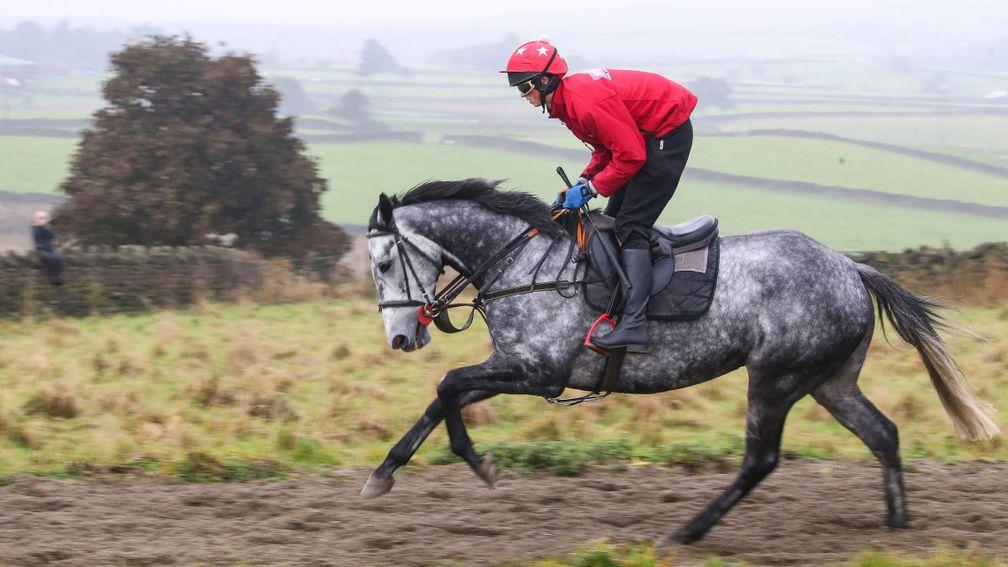 Grand National candidate Vintage Clouds on the all-weather gallop