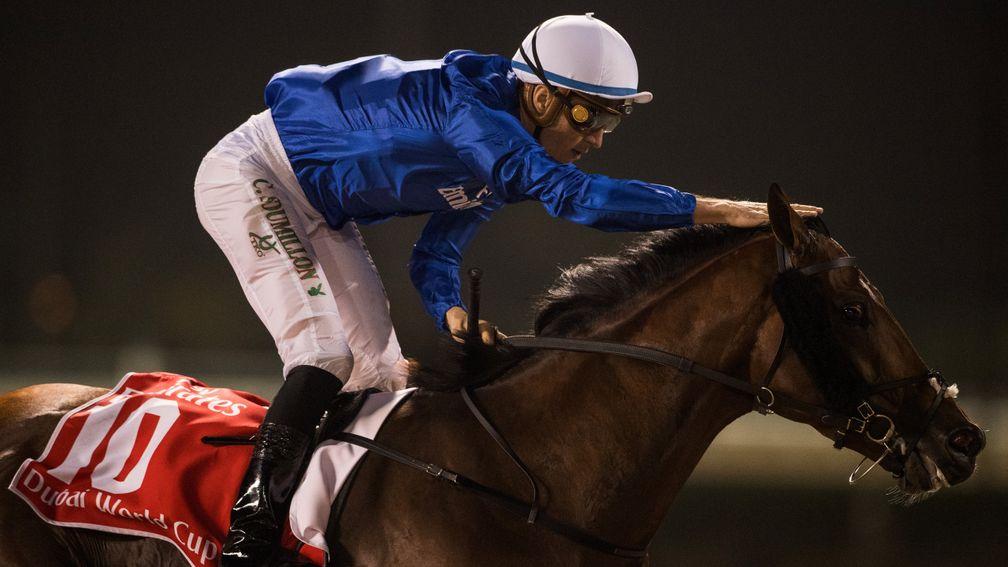 Thunder Snow: dual Dubai World Cup hero is one of five stakes winners for his dam
