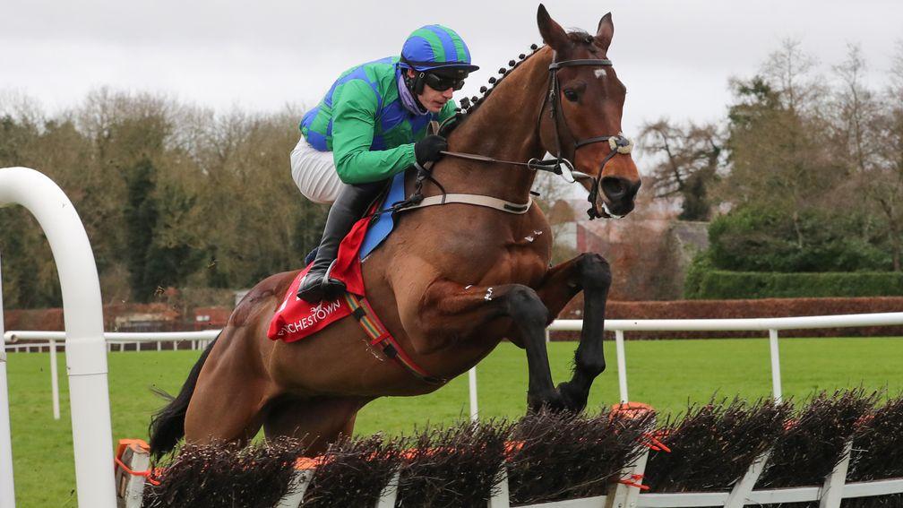 Punchestown Mon 31 January 2022 Kilcruit ridden by Paul Townend jumping the last to win The Punchestown.com Maiden HurdlePhoto.carolinenorris.ie