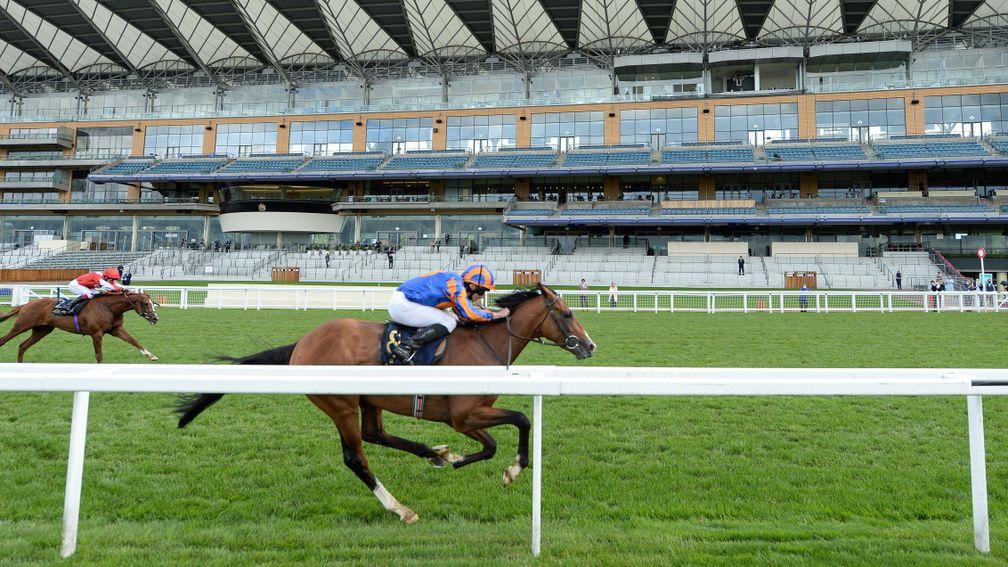 Queen's Vase winner and Irish Derby favourite Santiago goes up 17lb after his Ascot success