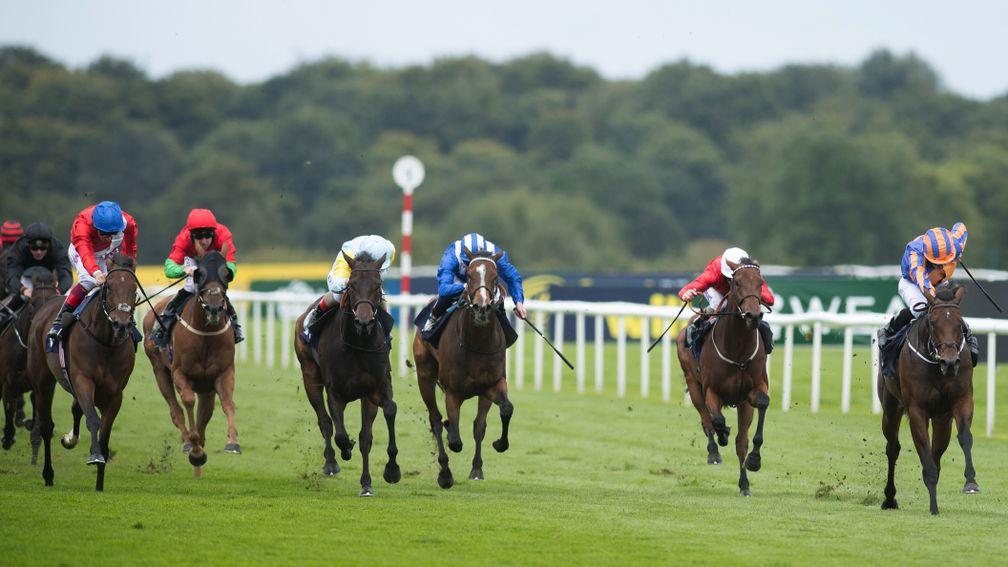 Runners fight out the finish in the Sceptre Stakes on Friday