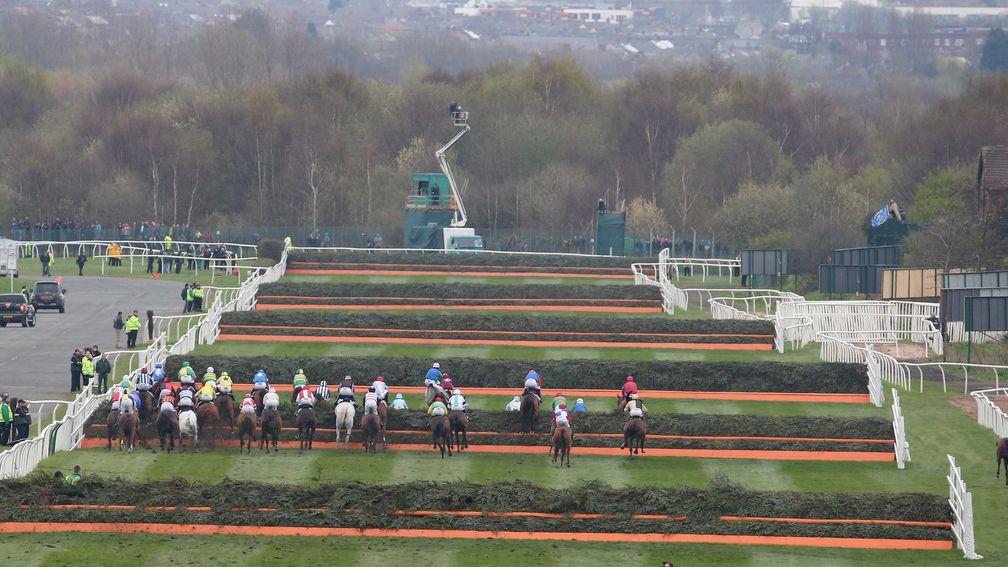How will you fare in the Front Runner's Grand National quiz?