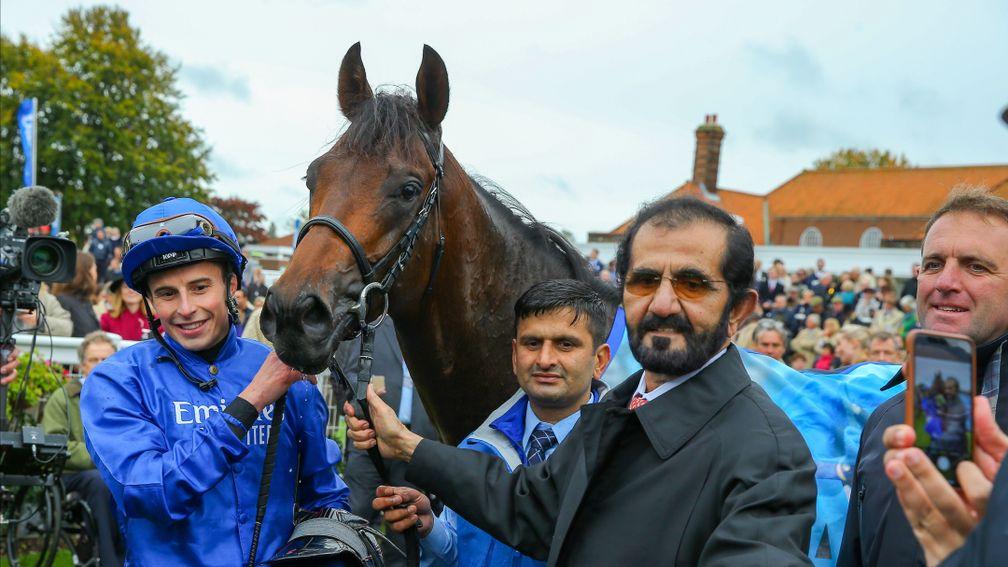 Pinatubo: Darley sire set to be visited by Dash To The Front