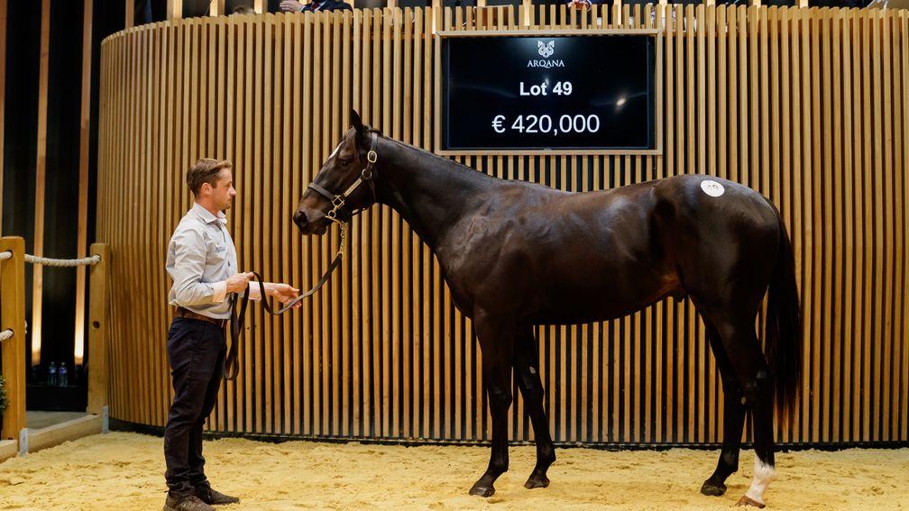 Ecurie des Monceaux's Wootton Bassett colt realised €420,000 at the Arqana October Yearling sale in Deauville