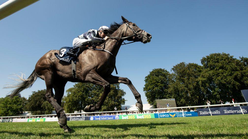 Alpha Centauri: coming home in front in the Falmouth Stakes
