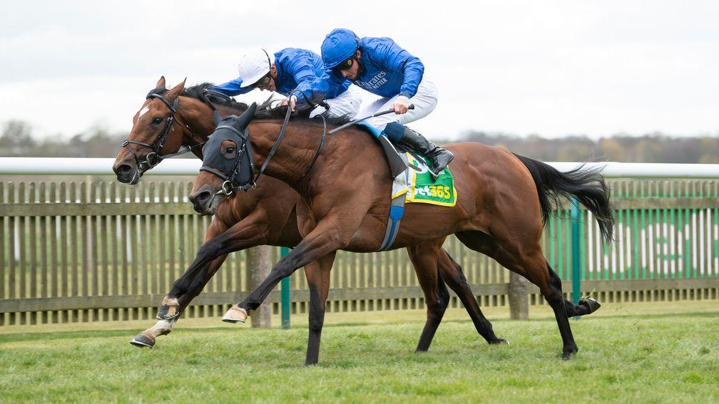 Master Of The Seas (nearside): gets the better of stablemate La Barrosa in the Craven Stakes