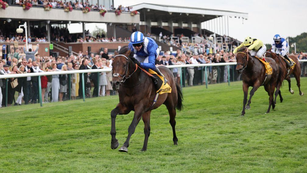 Minzaal: retired after suffering an injury in the Sprint Cup