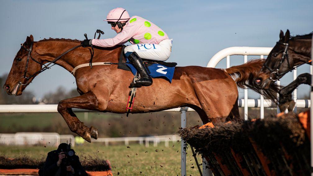 Monkfish: exhilarating winner of the RSA Chase in March makes his chase debut at Fairyhouse
