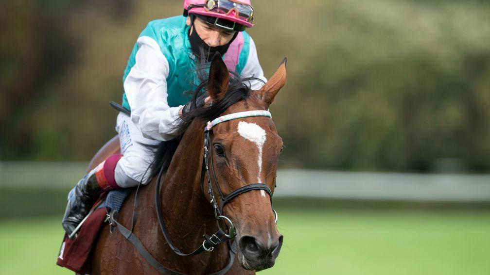 Enable: 11-time Group 1 winner is Vogt's favourite