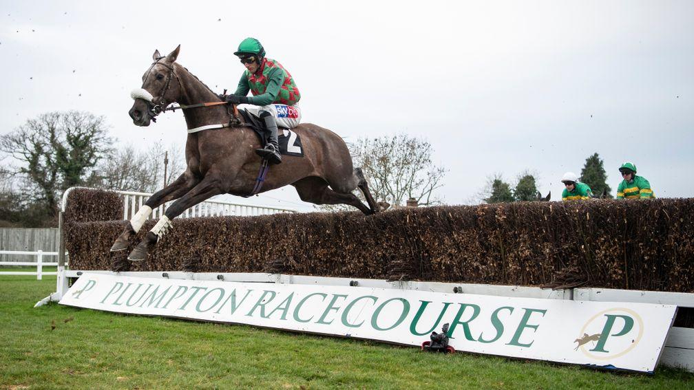Master Dino clears the second on his way to victory at Plumpton