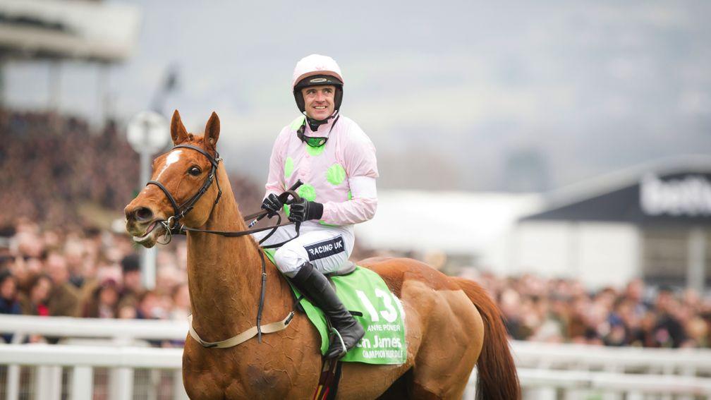 Annie Power: the brilliant jumps mare was retired on Tuesday